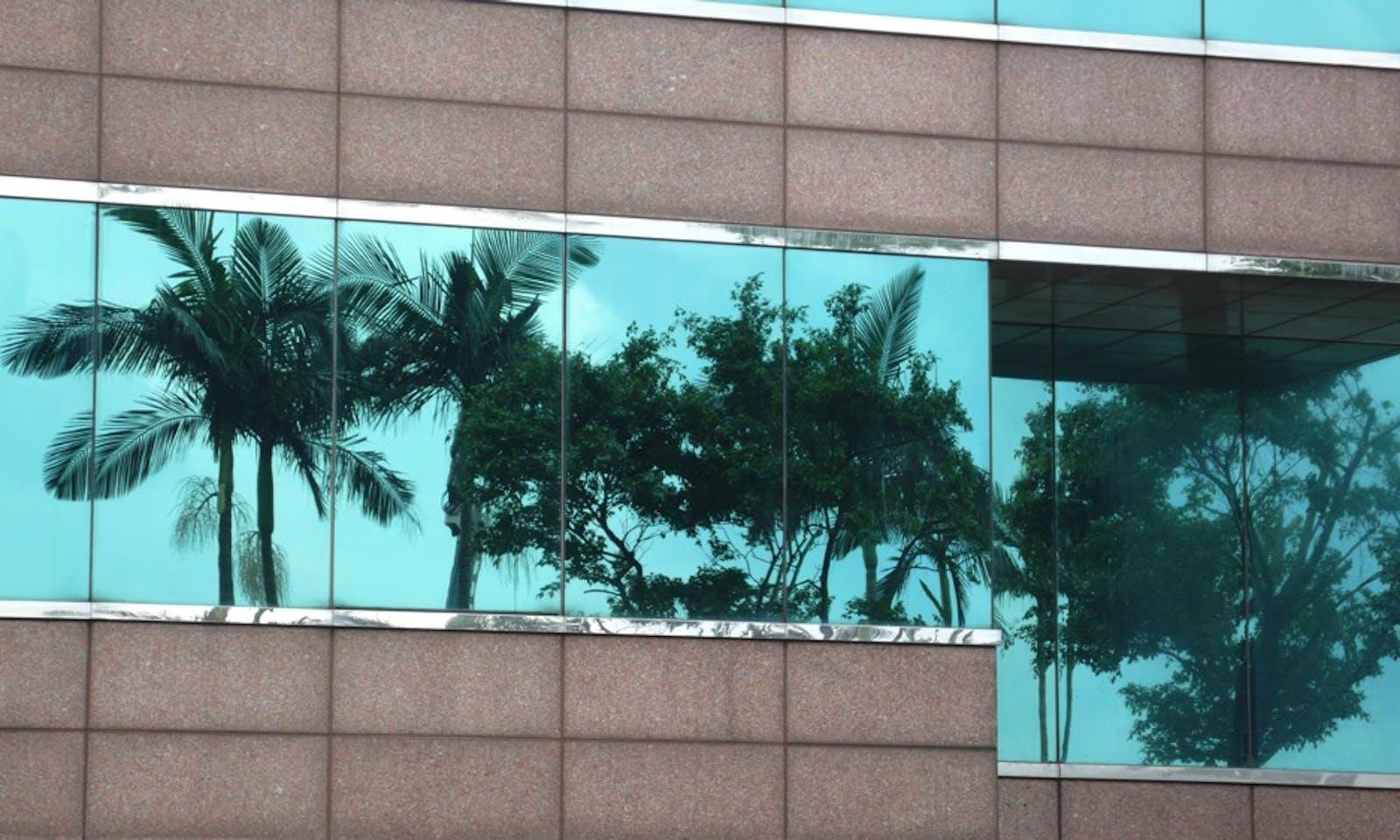 Reflecting trees office building