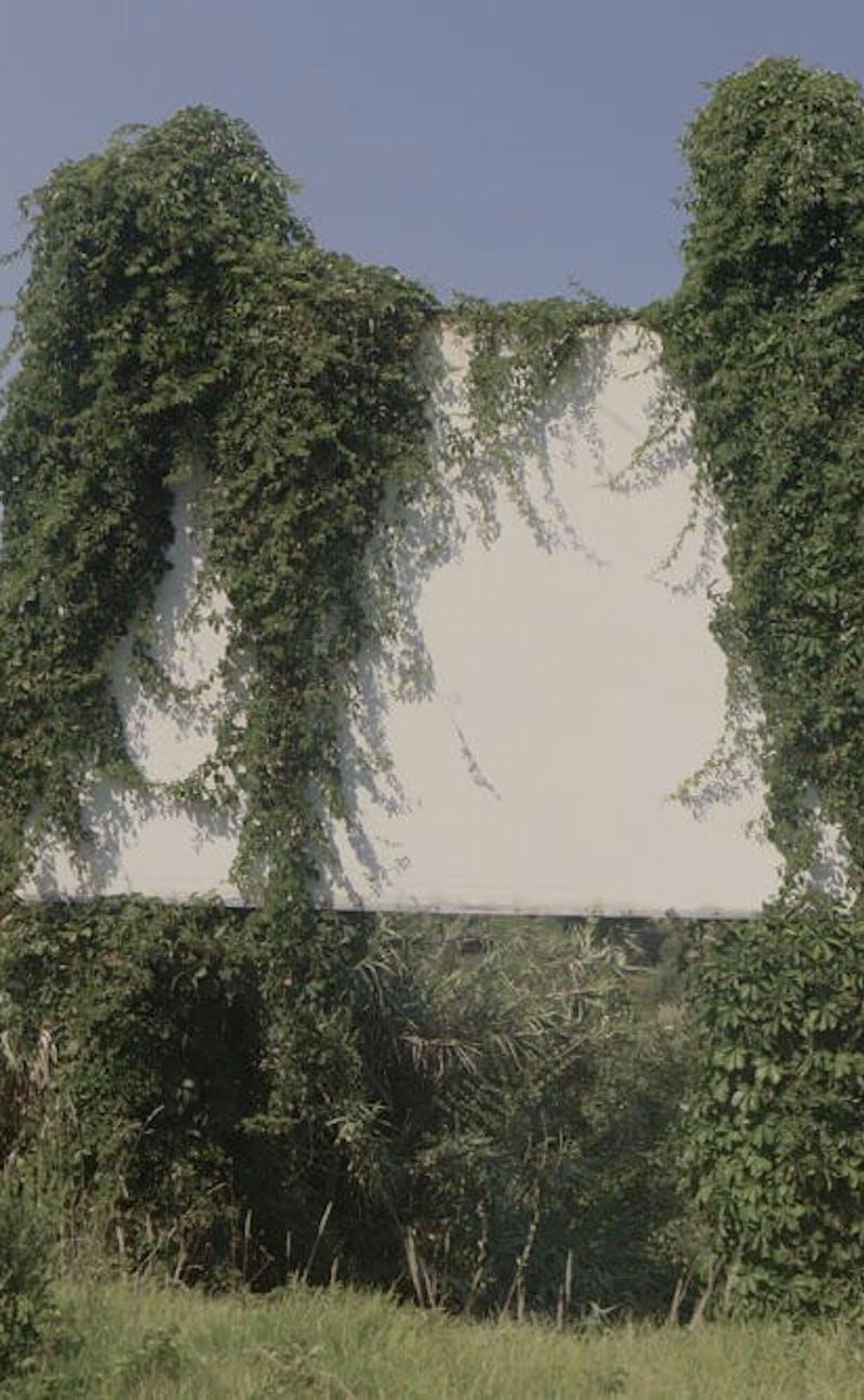 White billboard overgrown with plants