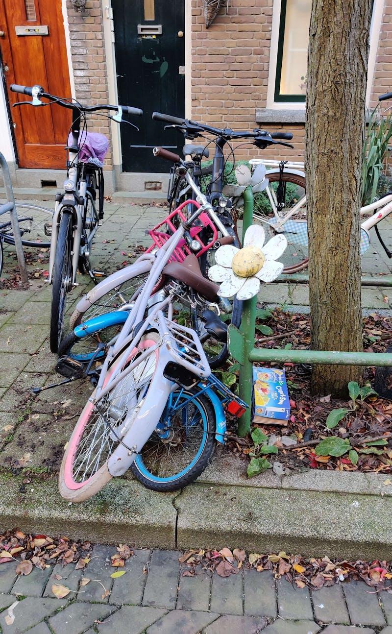 Child bicycles parked near a tree in Bergpolder Rotterdam