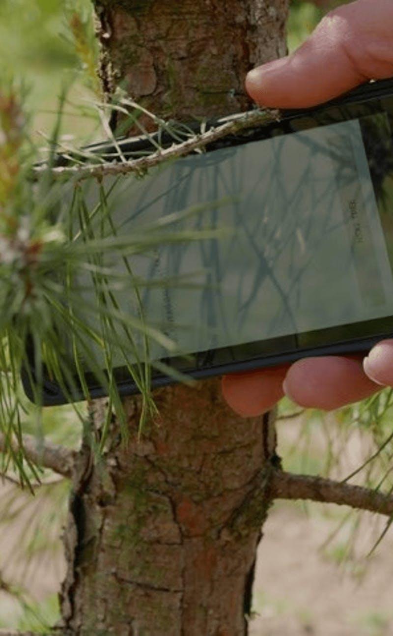 Scanning device near a tree with hand 